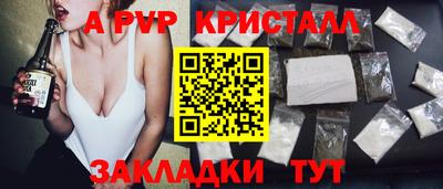 спиды Будённовск
