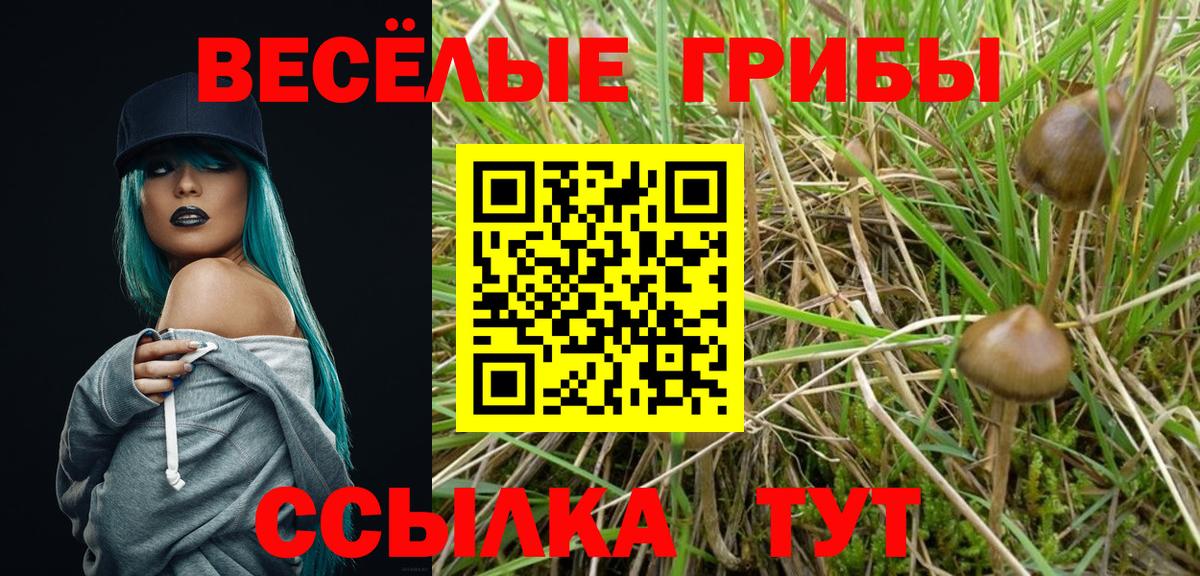 Псилоцибиновые грибы мицелий  Вход с VPN  что такое наркотик  Саянск 