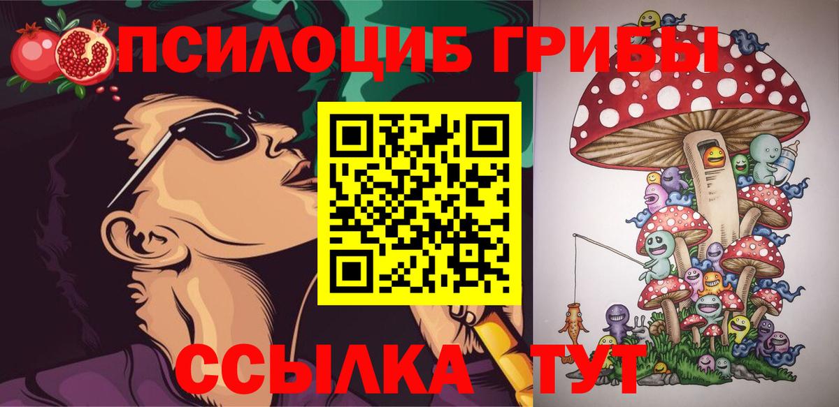 Псилоцибиновые грибы Psilocybe Саянск